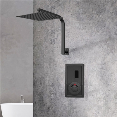 Waterpik Shower System